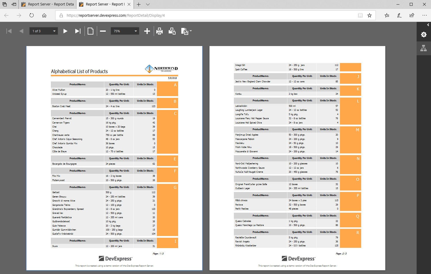 DevExpress Report Server Preview